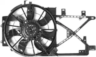 vanwezel-3766748