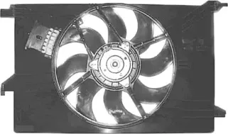 vanwezel-3768747