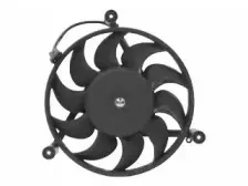 vanwezel-5874746