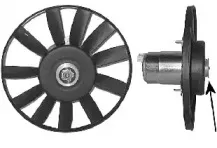 vanwezel-5880745