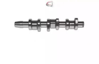 campro-cp10216