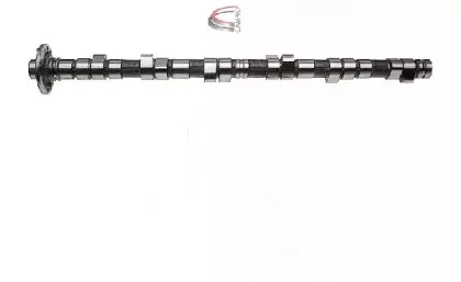 campro-cp11913