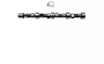 campro-cp12213