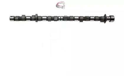 campro-cp12247