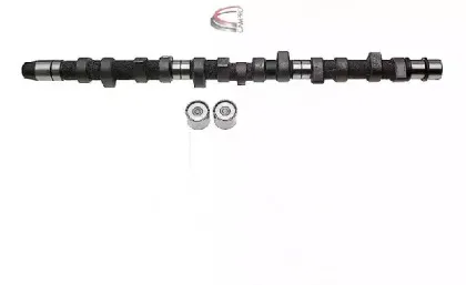 campro-cp60209