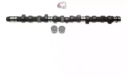 campro-cp60210