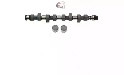 campro-cp60213