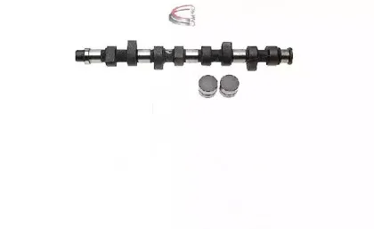 campro-cp60219