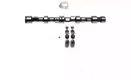 campro-cp62298
