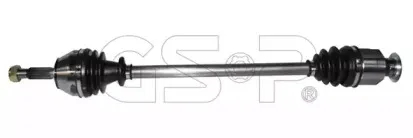 250095 GSP