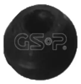 gsp-510089