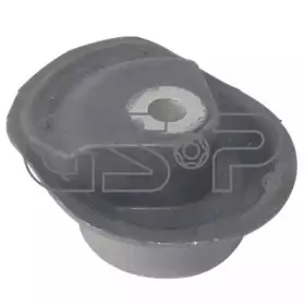 510095 GSP