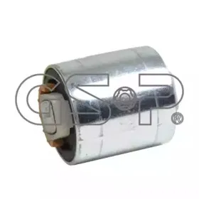 510135 GSP