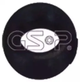 gsp-510171