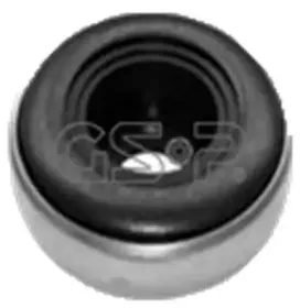 511418 GSP