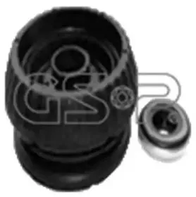 511419S GSP