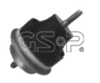 513886 GSP