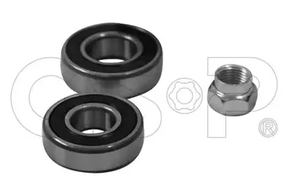 GK3717 GSP Комплект подшипника ступицы колеса