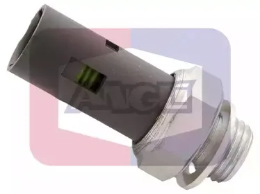 angli-1413