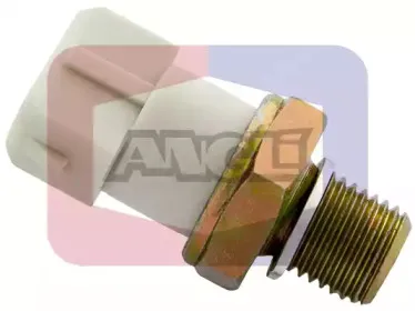 angli-1418