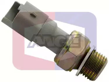 angli-1466