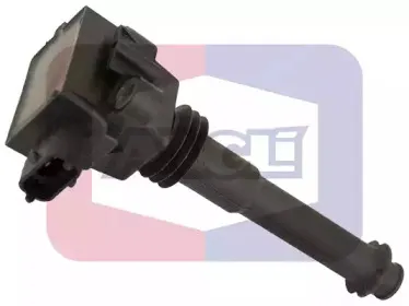 angli-15016