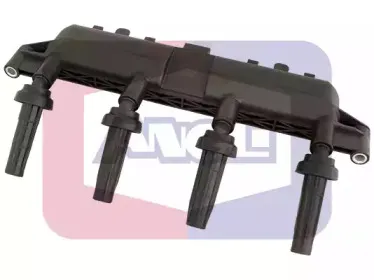 angli-15042