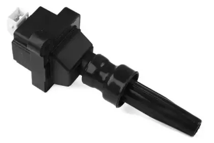 angli-15045