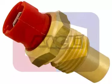 angli-1506