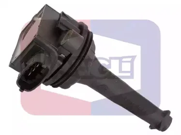 angli-15068