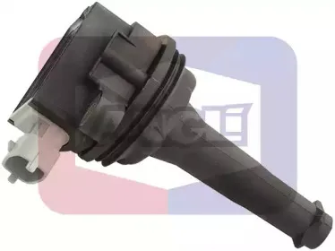 angli-15153