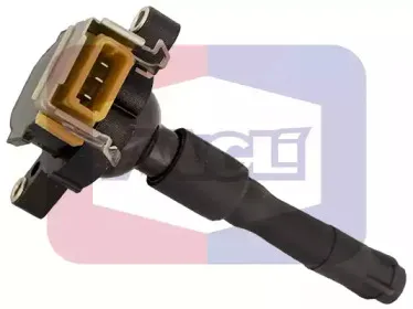 angli-15202