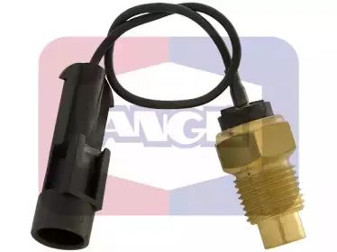angli-1529