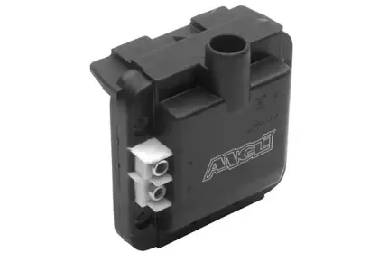 angli-15301