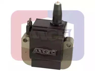 angli-15309
