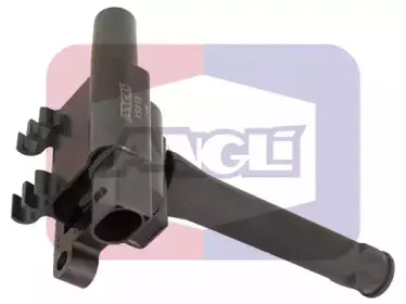 angli-15318