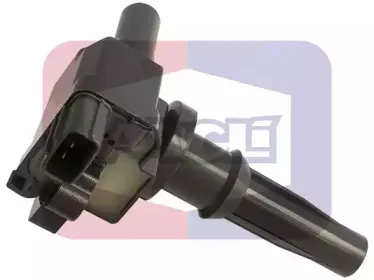 angli-15329