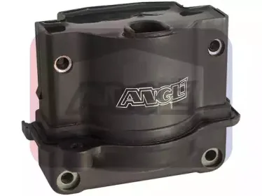 angli-15504