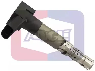 angli-15604