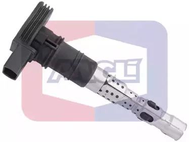 angli-15609