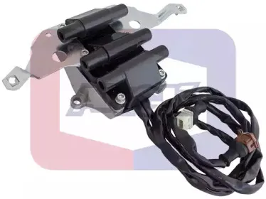 angli-15610