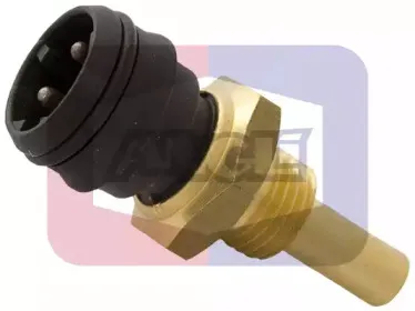 angli-1568