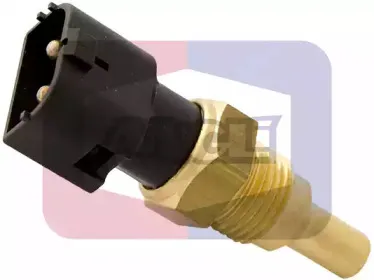 angli-1593