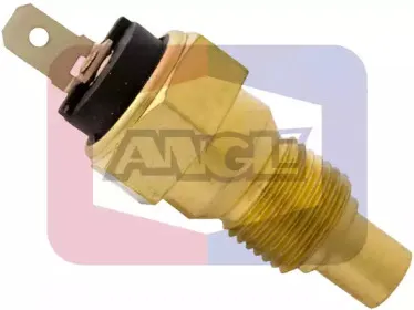angli-1594