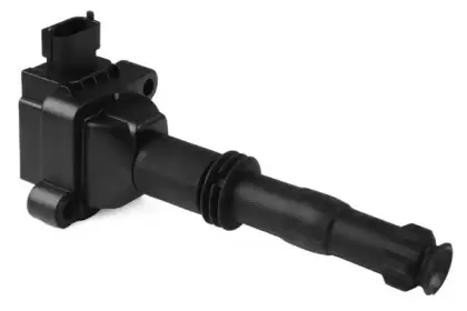 angli-15999