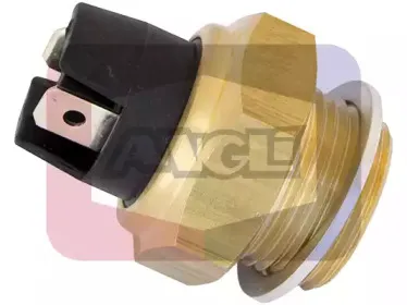 angli-1601