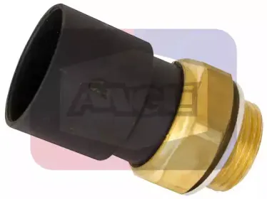 angli-16205
