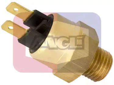 angli-16211