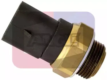 angli-16213