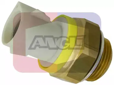 angli-16217